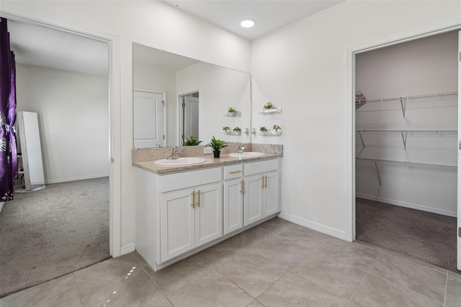 2814 COMMON FIG RUN, WESLEY CHAPEL, FL, 33543