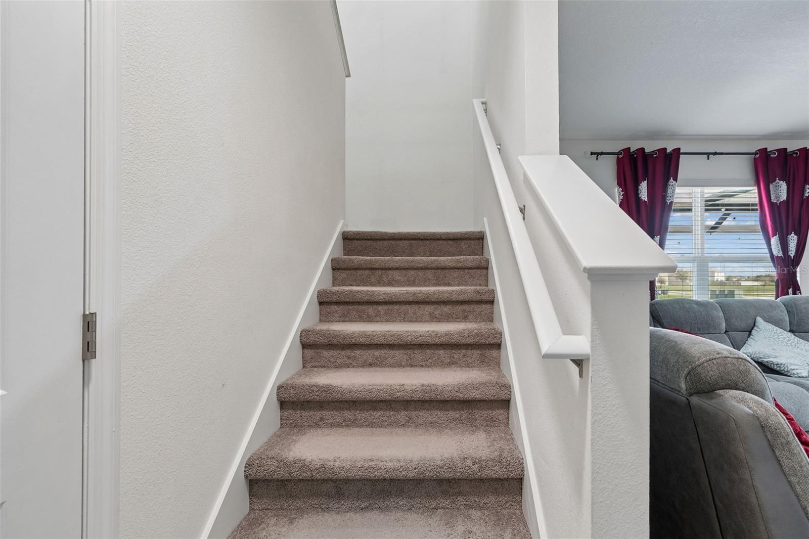 2814 COMMON FIG RUN, WESLEY CHAPEL, FL, 33543