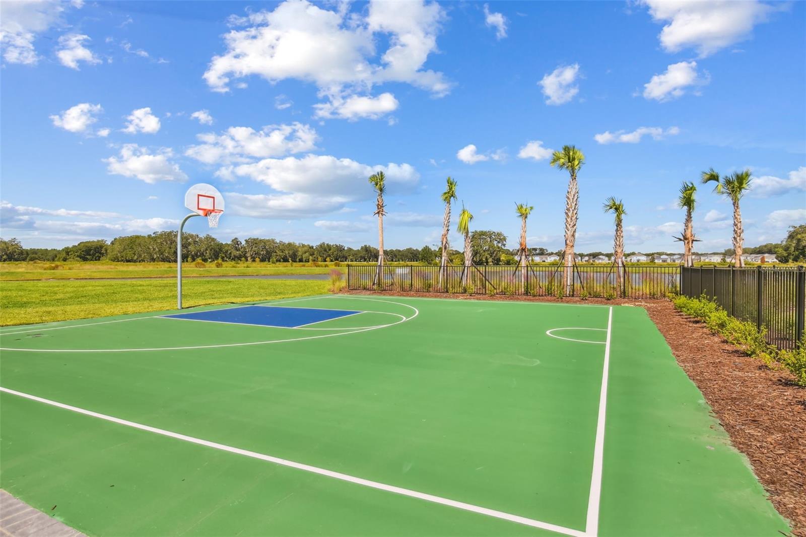 2814 COMMON FIG RUN, WESLEY CHAPEL, FL, 33543