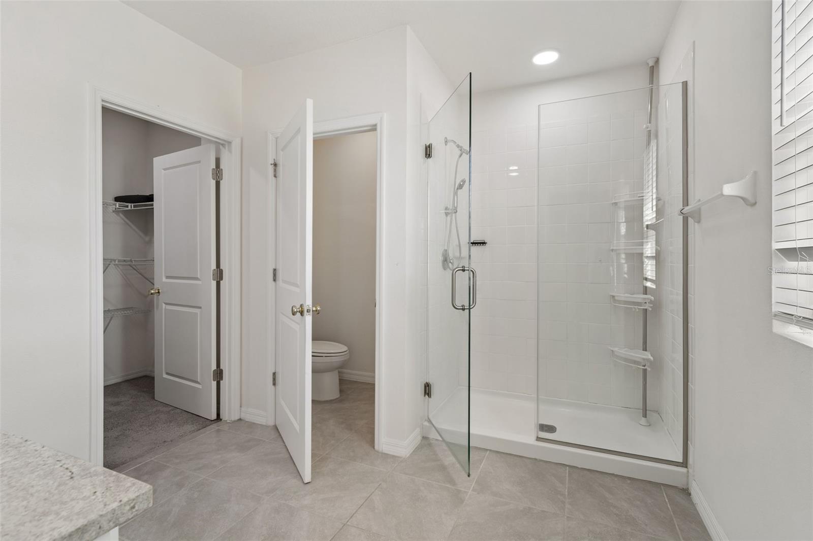 2814 COMMON FIG RUN, WESLEY CHAPEL, FL, 33543