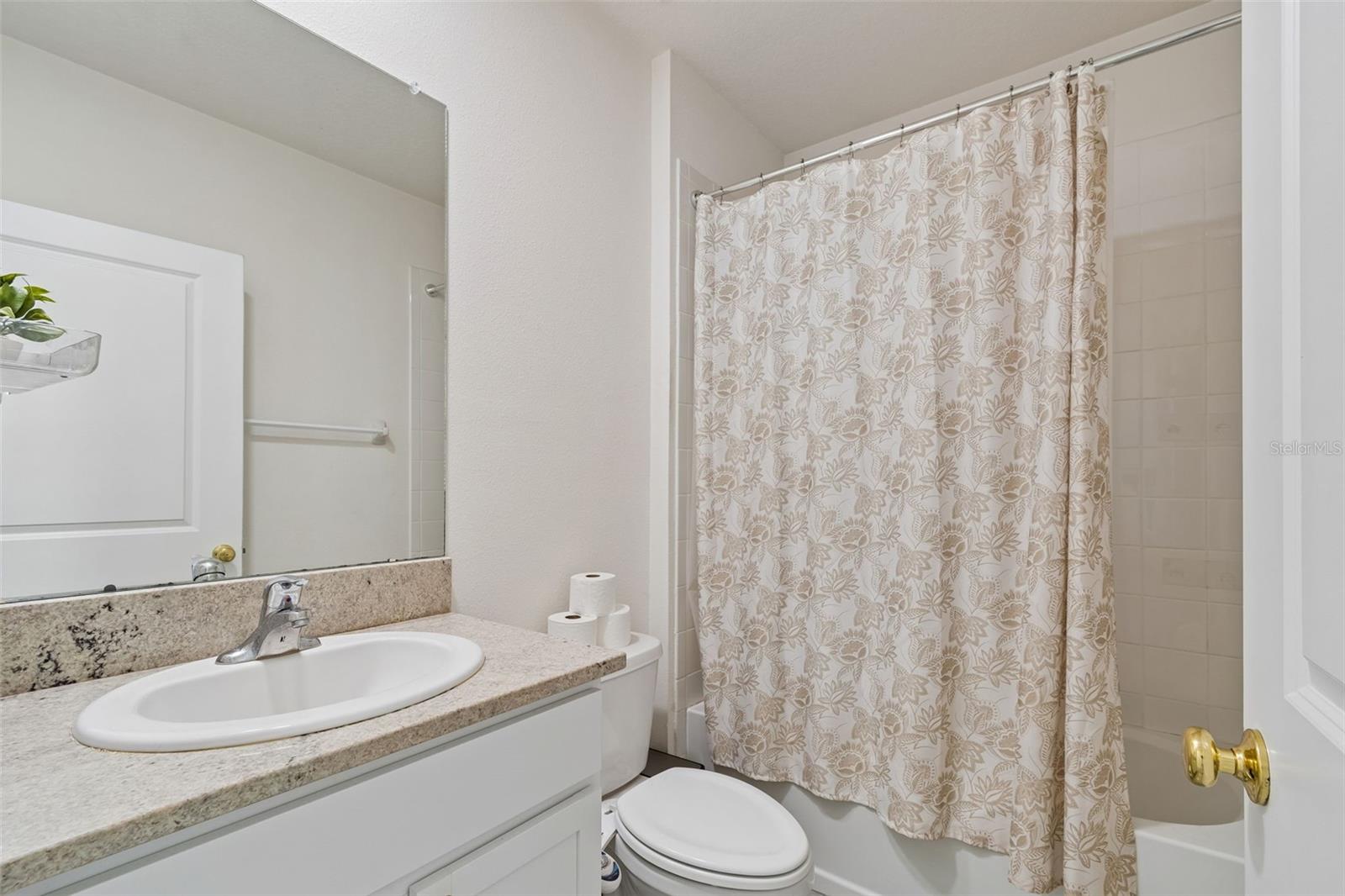 2814 COMMON FIG RUN, WESLEY CHAPEL, FL, 33543