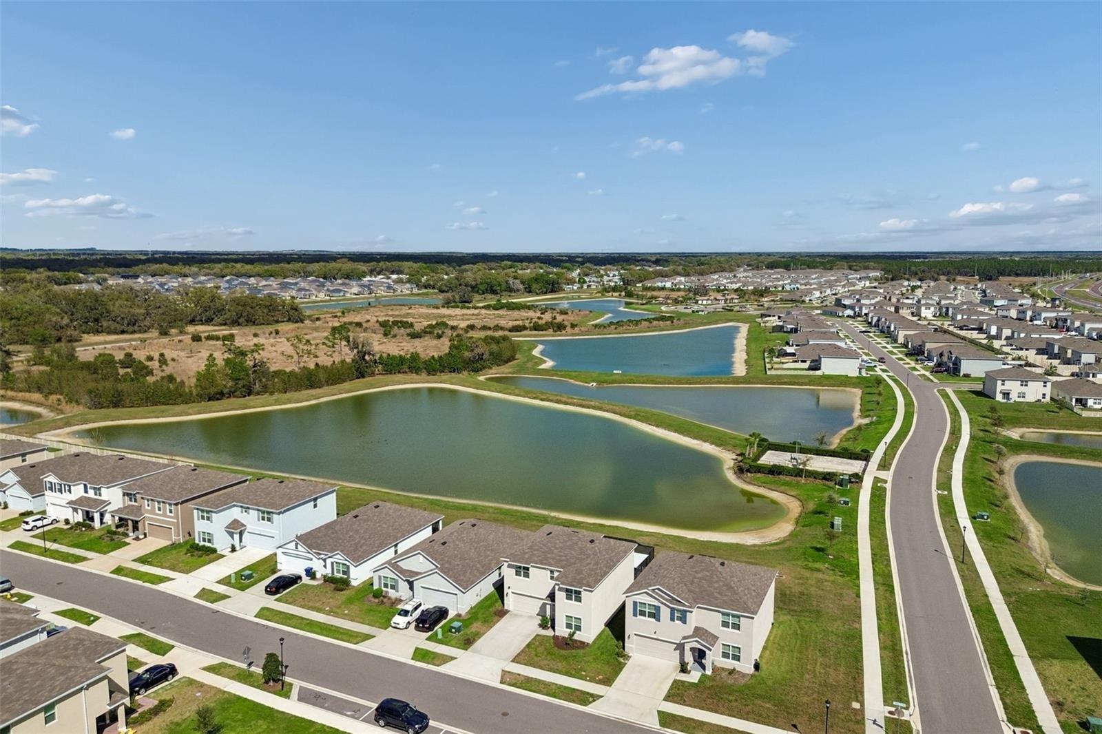 2814 COMMON FIG RUN, WESLEY CHAPEL, FL, 33543