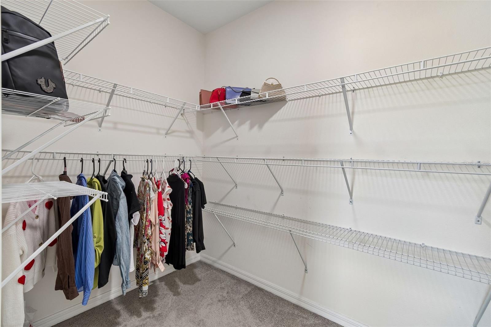 2814 COMMON FIG RUN, WESLEY CHAPEL, FL, 33543