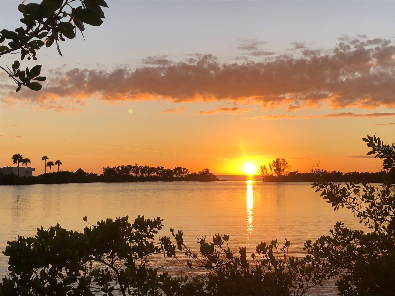 6009 SEA RANCH DR #707, HUDSON, FL, 34667