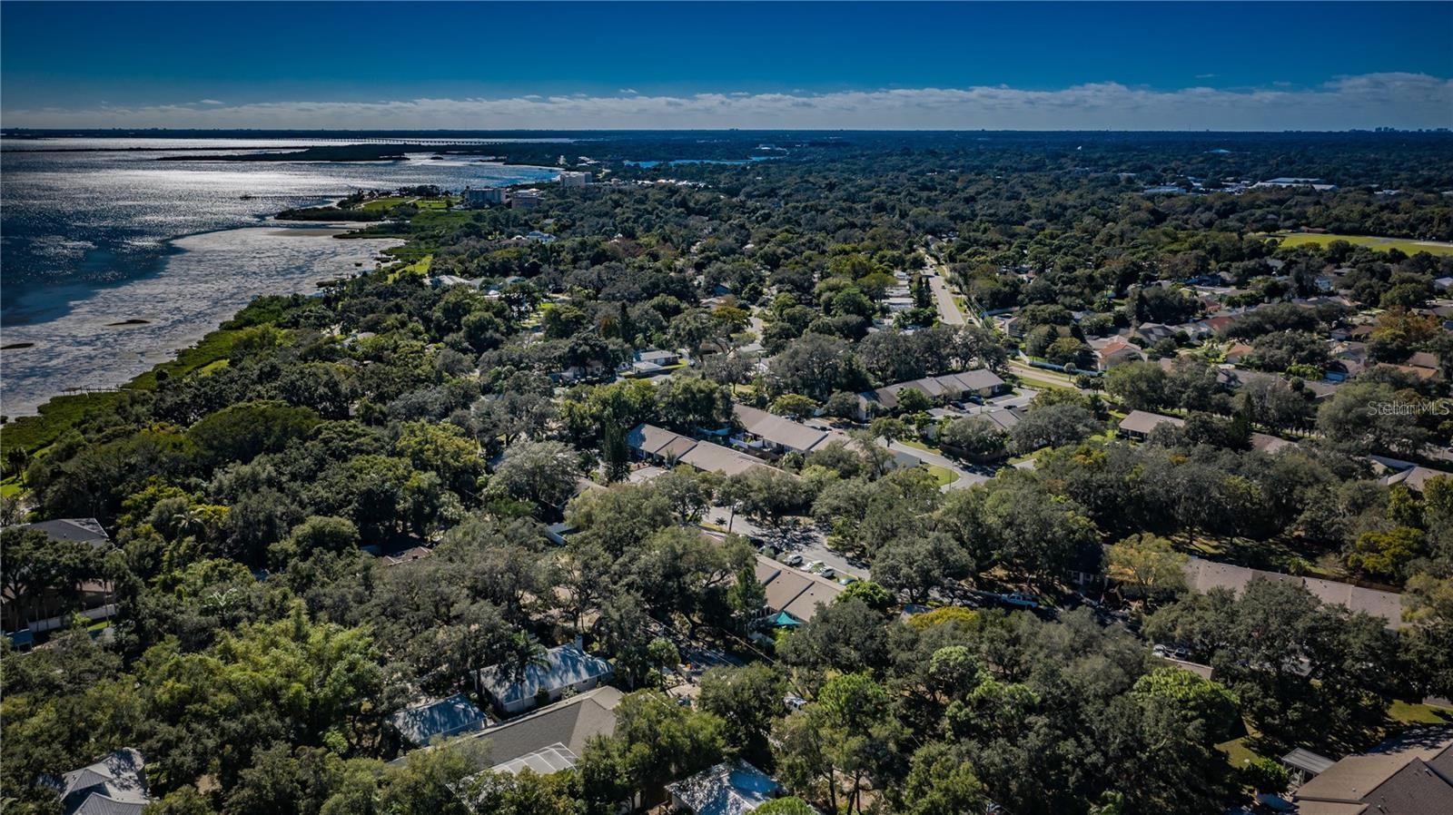 301 WASHINGTON AVE, SAFETY HARBOR, FL, 34695
