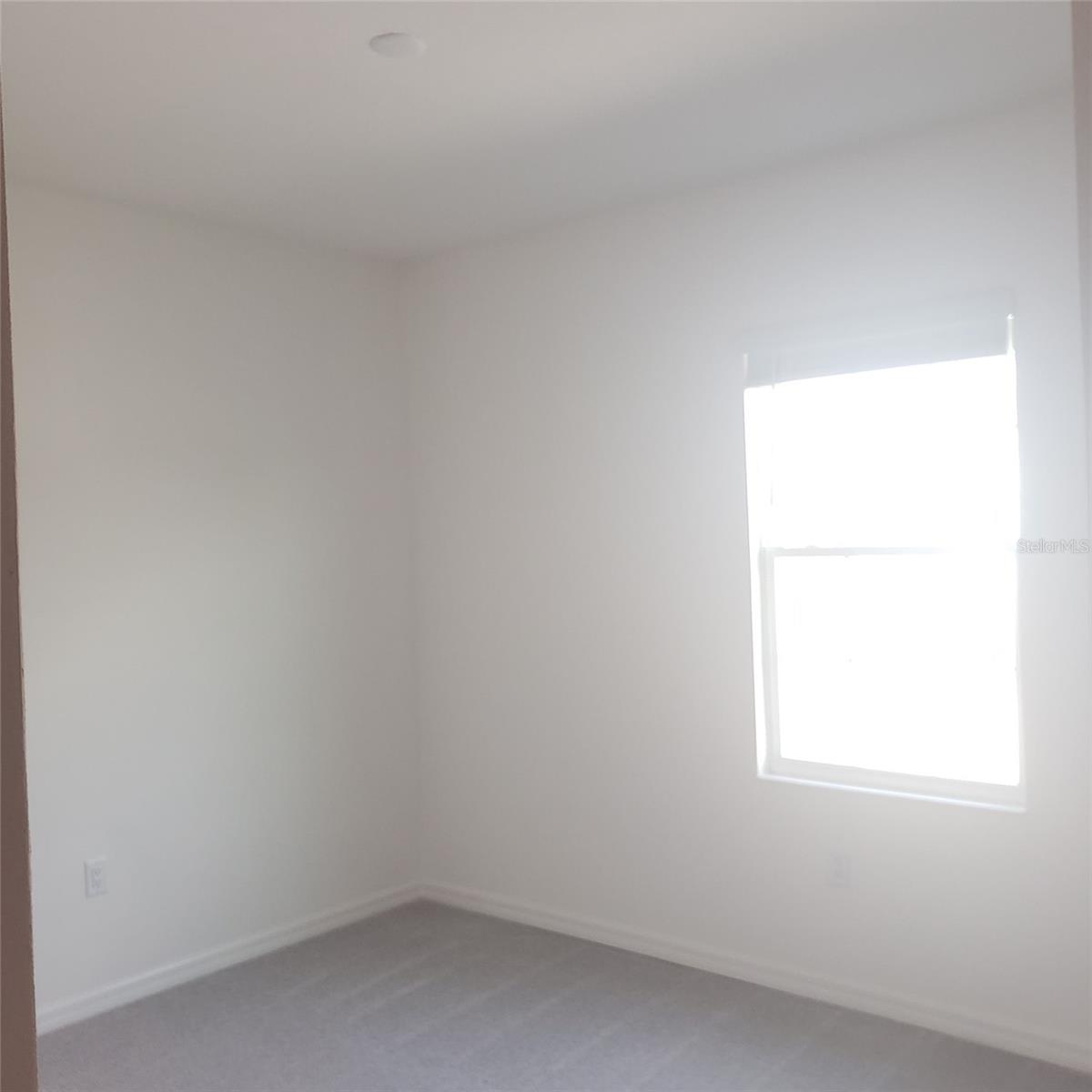 34218 ROGALLO LN, WESLEY CHAPEL, FL, 33545
