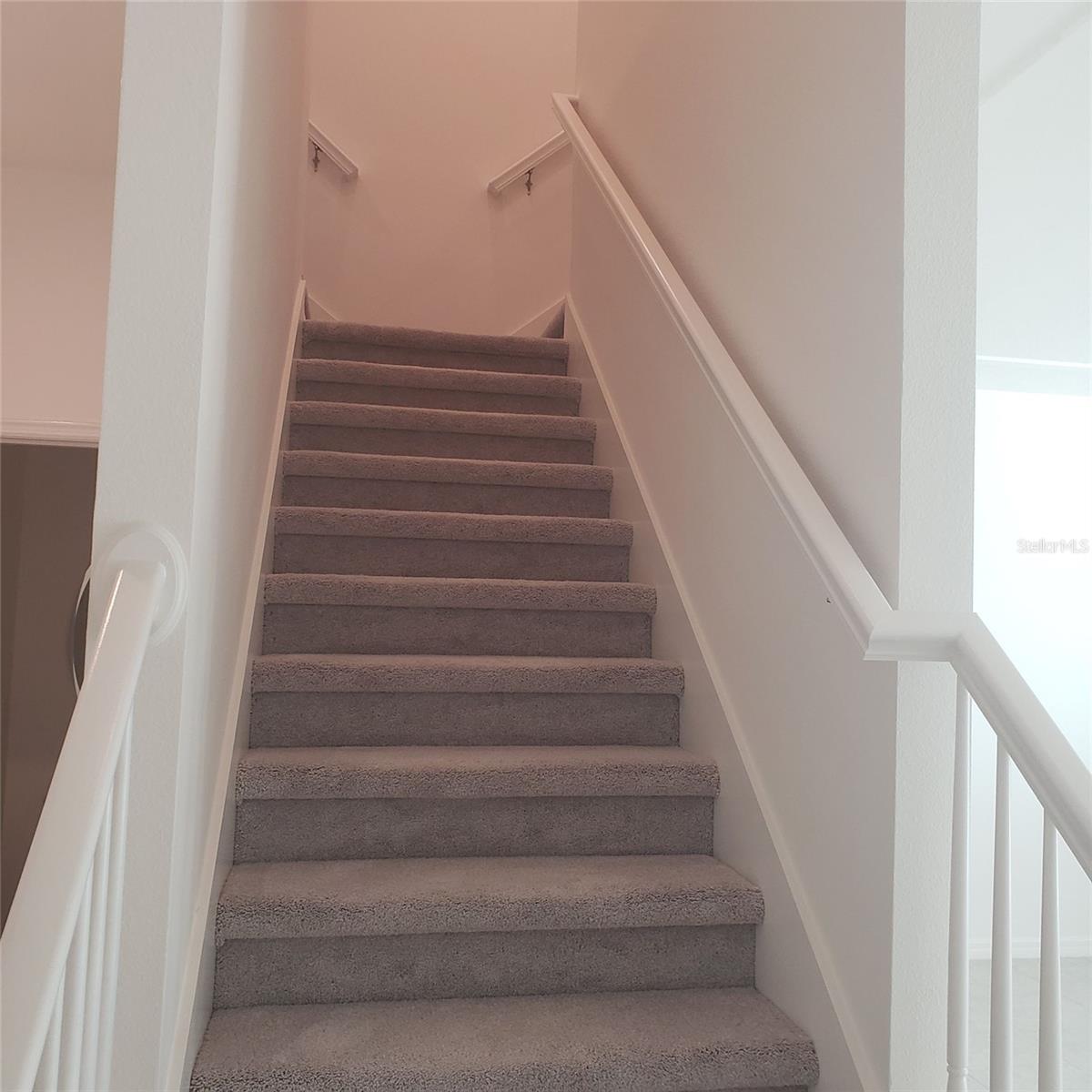 34218 ROGALLO LN, WESLEY CHAPEL, FL, 33545