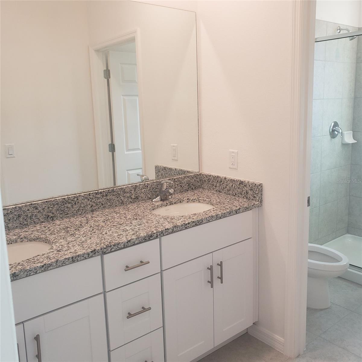 34218 ROGALLO LN, WESLEY CHAPEL, FL, 33545