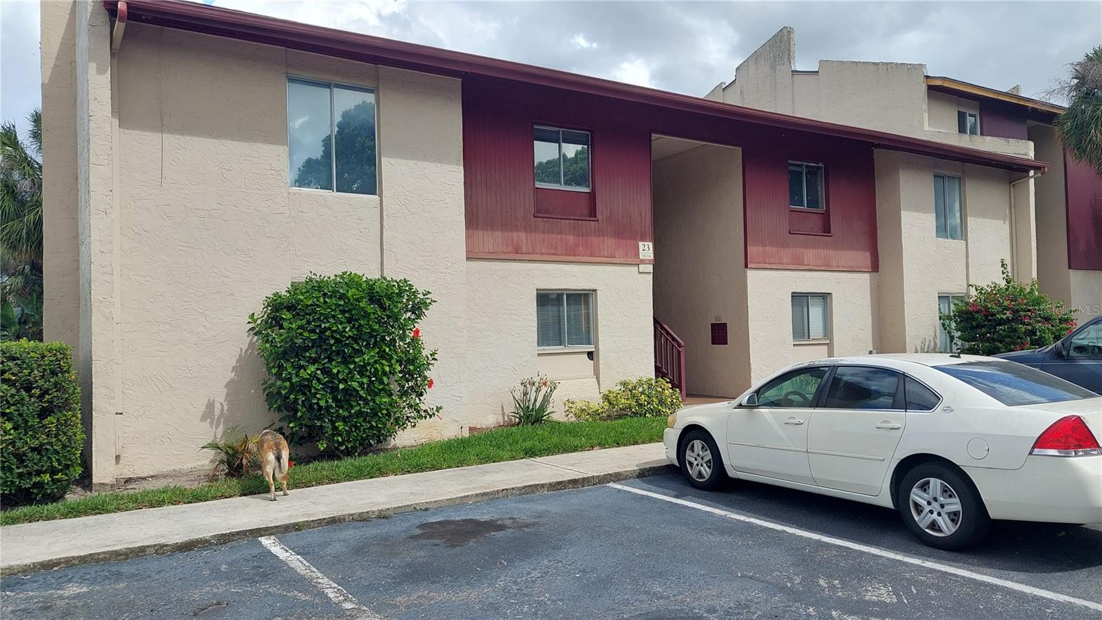3836 N LAKE DR #119, TAMPA, FL, 33614