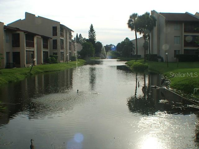 3836 N LAKE DR #119, TAMPA, FL, 33614