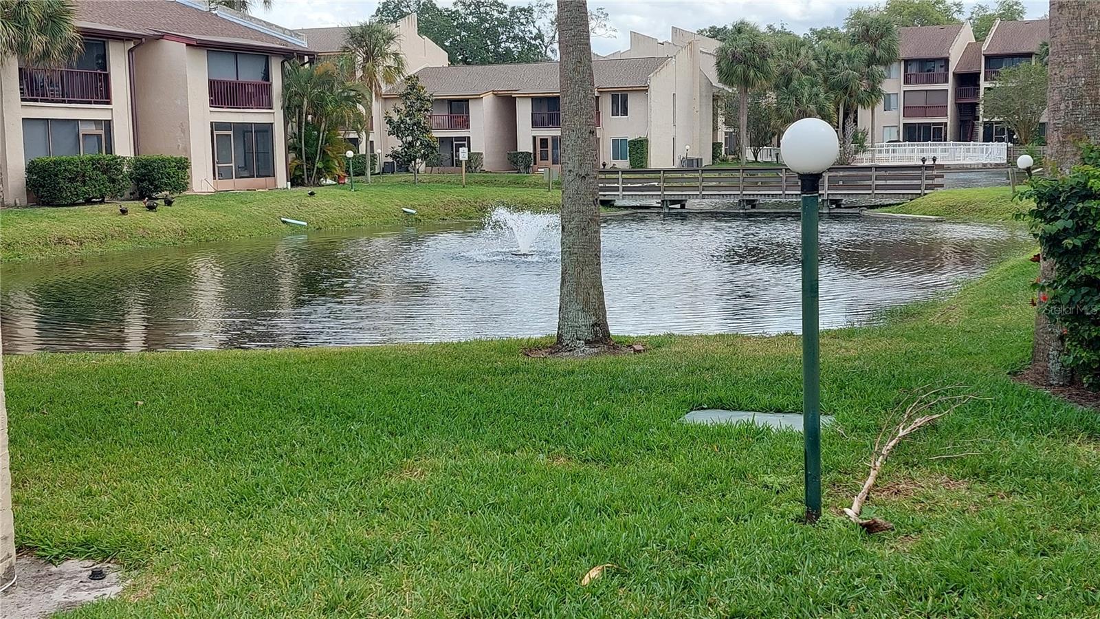 3836 N LAKE DR #119, TAMPA, FL, 33614