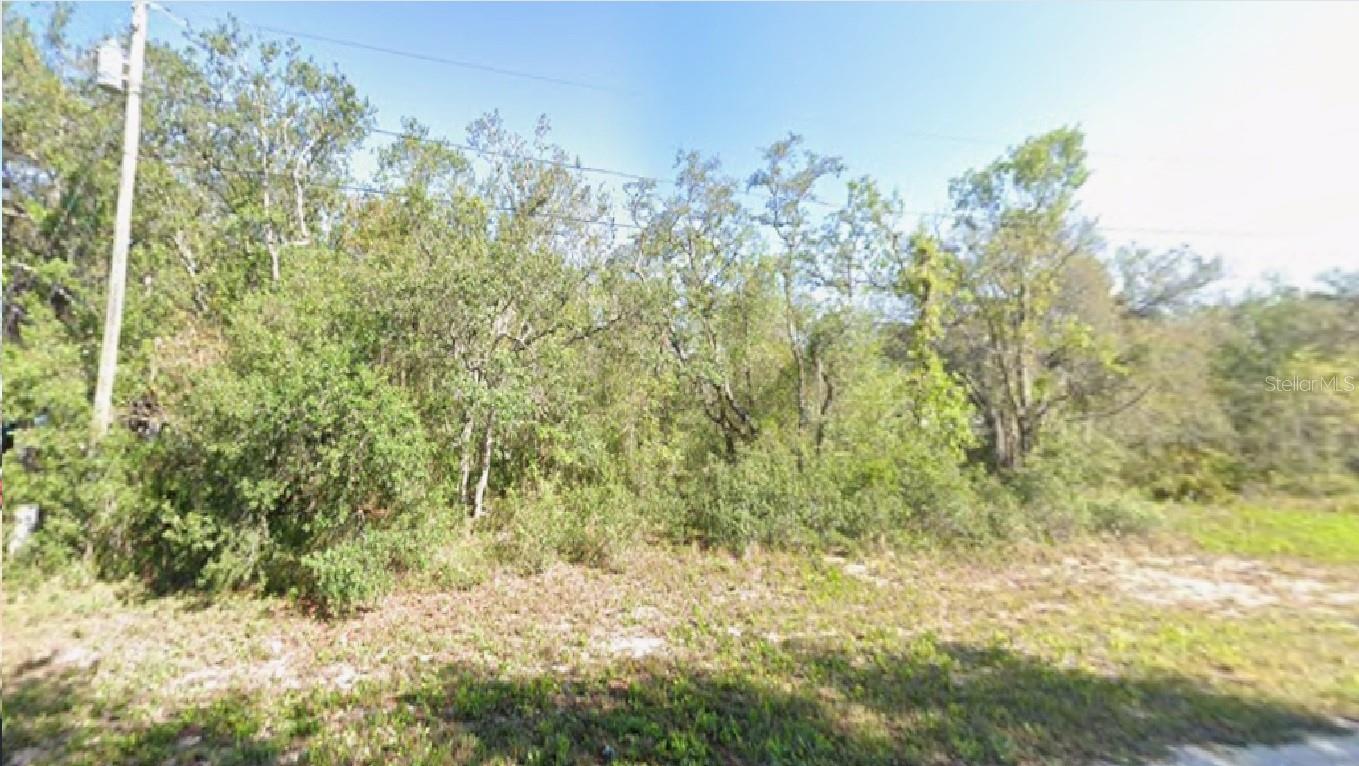 2180 W BONITA RD, AVON PARK, FL, 33825