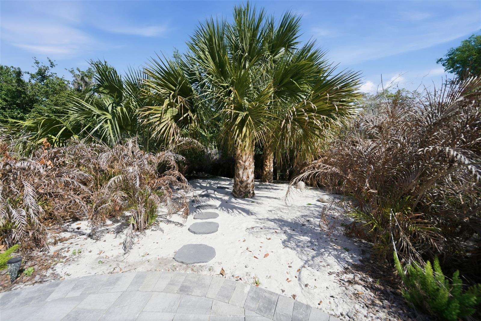 113 SANDY OAKS PL, LONGWOOD, FL, 32779