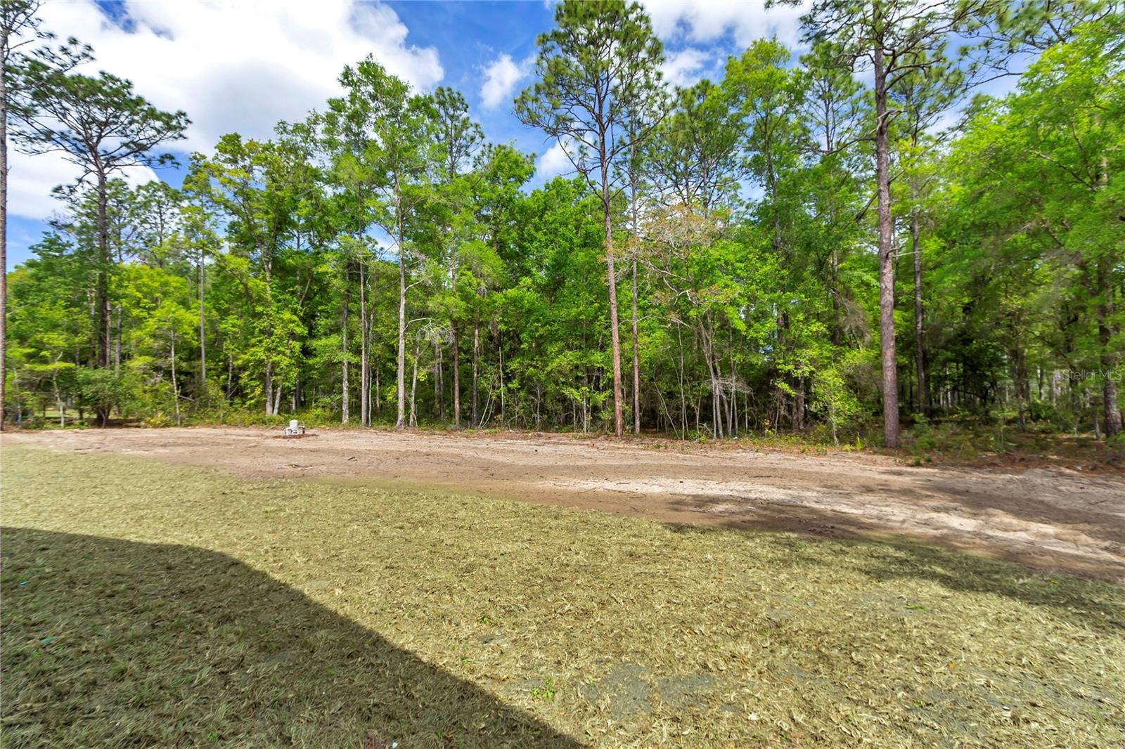 12423 SW 45 ST, OCALA, FL, 34481