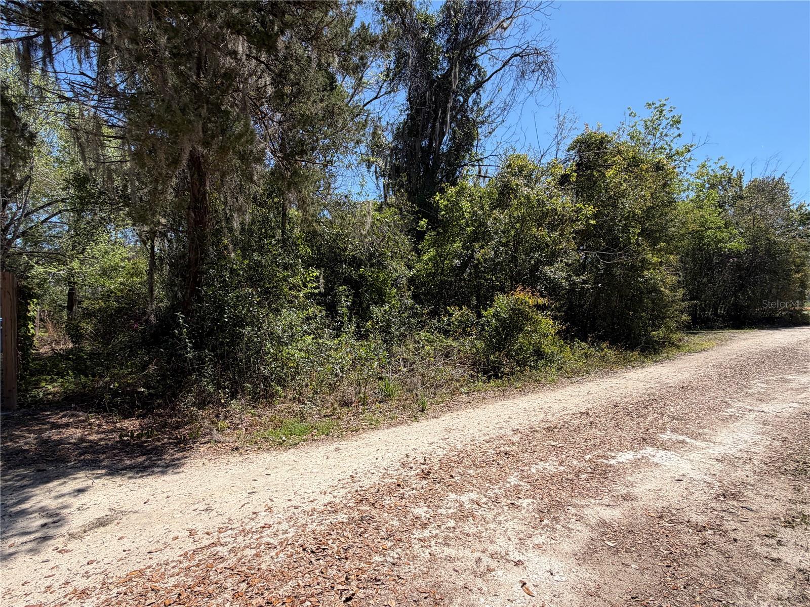 300blk NW 245TH TER, NEWBERRY, FL, 32669
