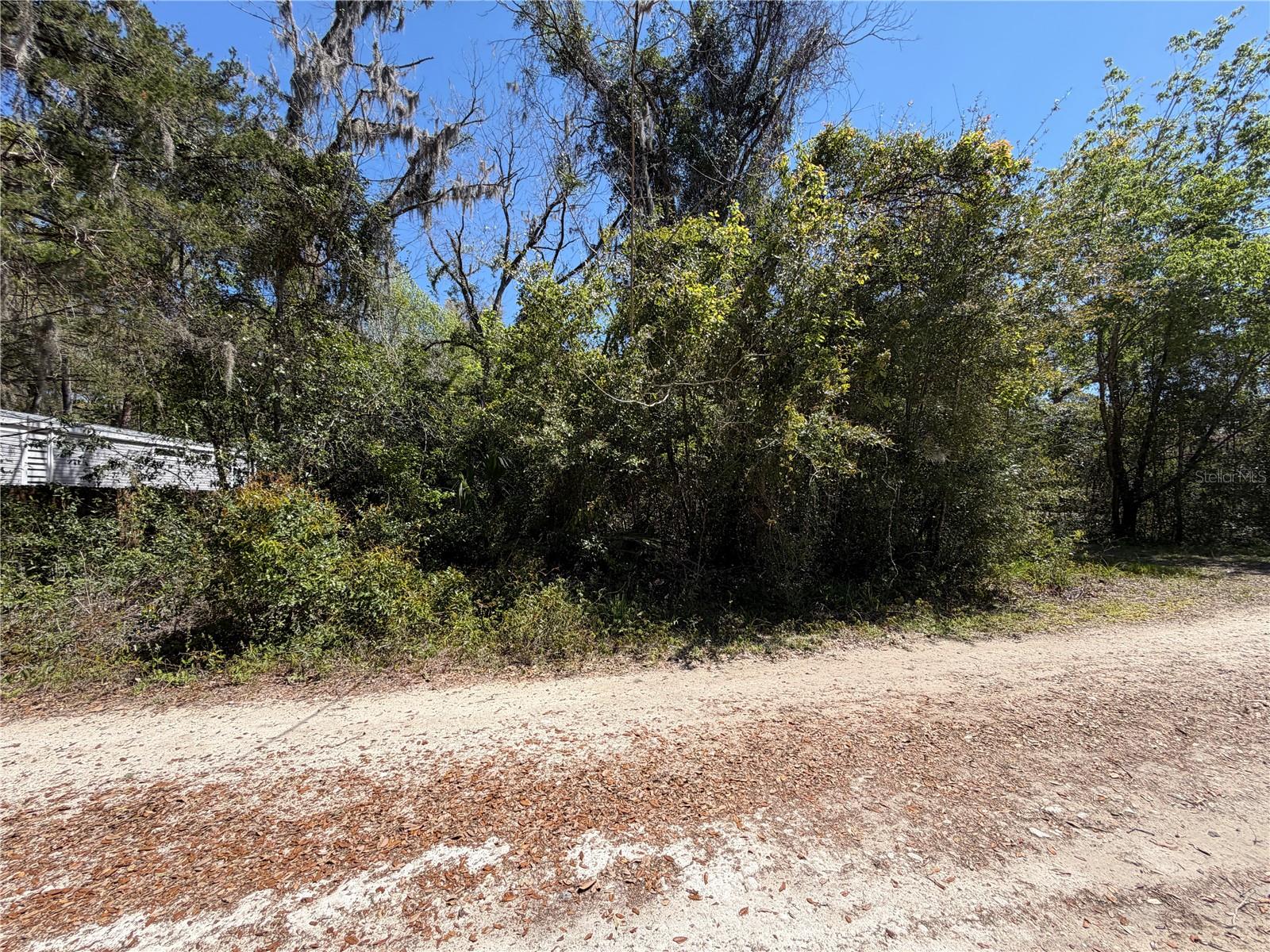 300blk NW 245TH TER, NEWBERRY, FL, 32669
