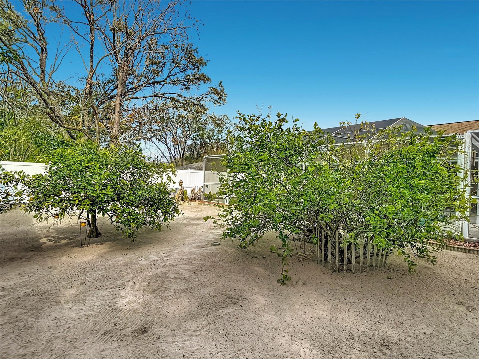 2393 GALAHAD AVE, SPRING HILL, FL, 34608