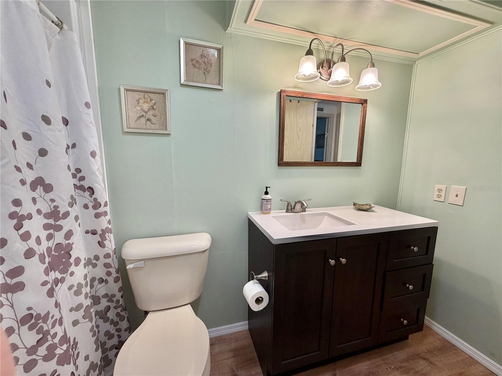 158 HIBISCUS WAY, LEESBURG, FL, 34748