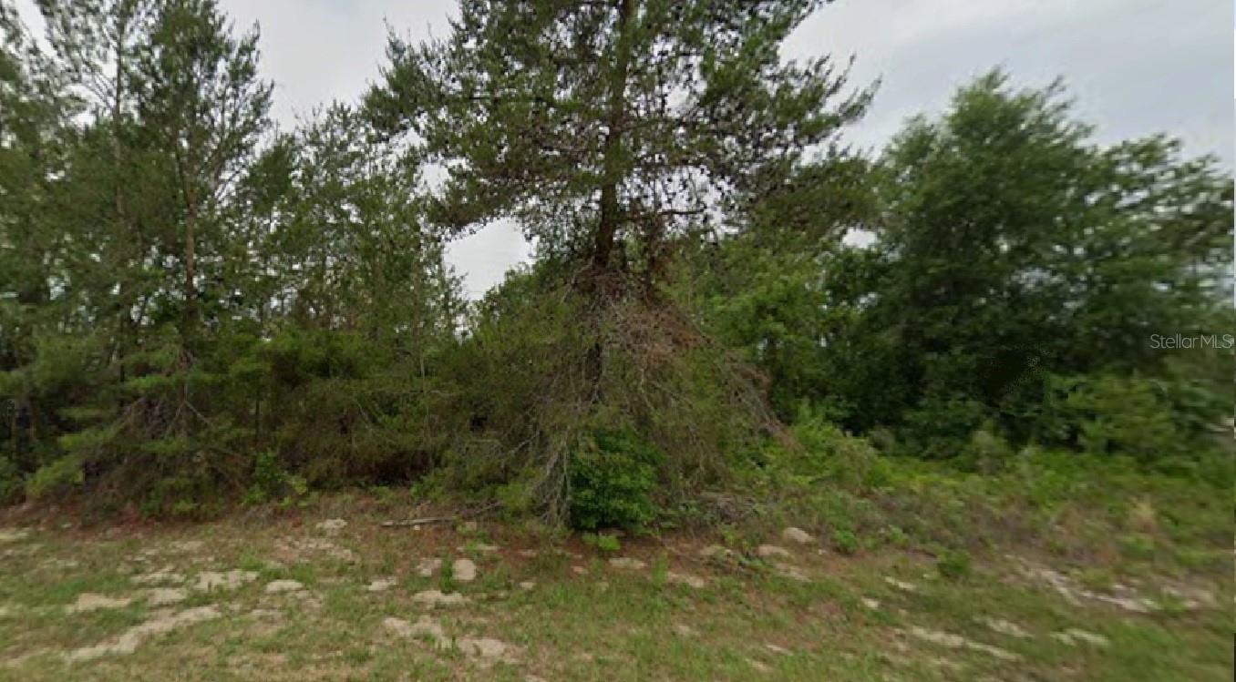 SW 54TH COURT RD, OCALA, FL, 34473