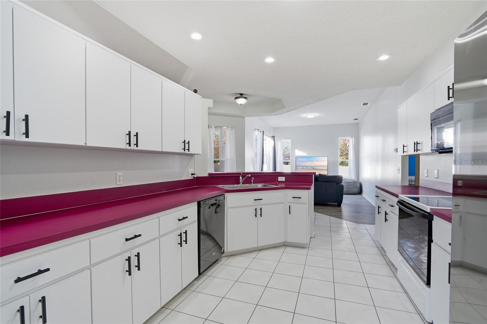 11372 PATCH ST, SPRING HILL, FL, 34609