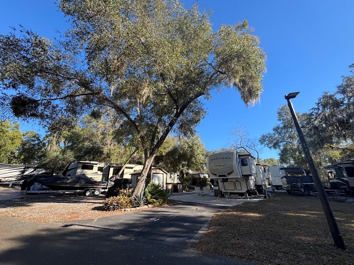 25142 NE 143RD PL #81, FORT MC COY, FL, 32134