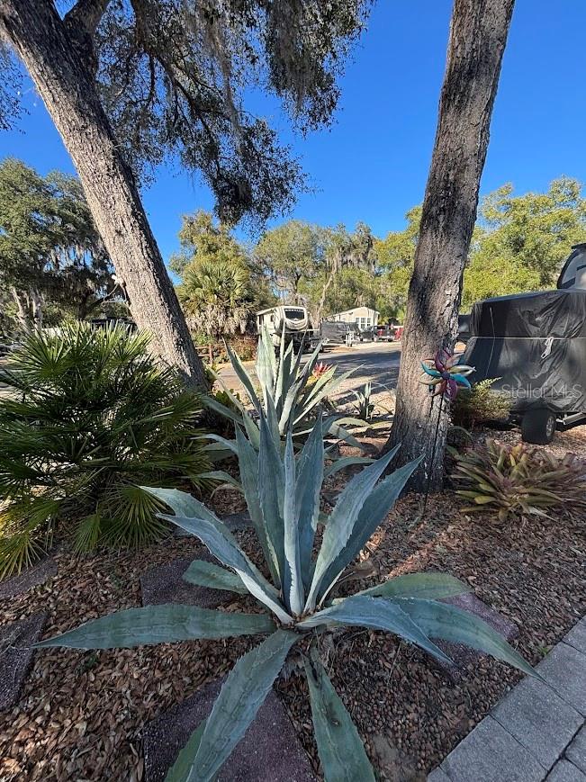25142 NE 143RD PL #81, FORT MC COY, FL, 32134