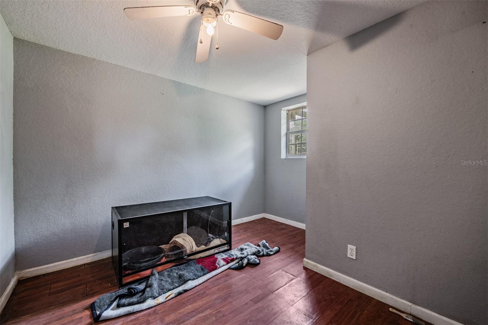 2125 LANIER RD, PLANT CITY, FL, 33565