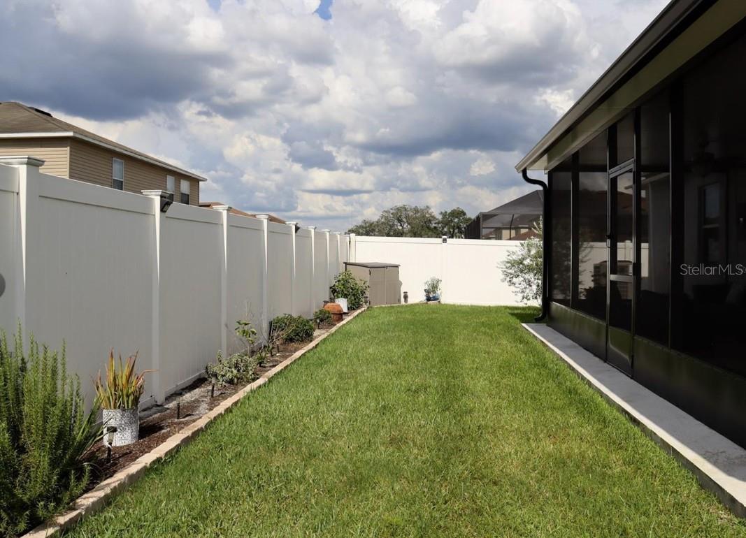 Back yard and Lanai 31x10