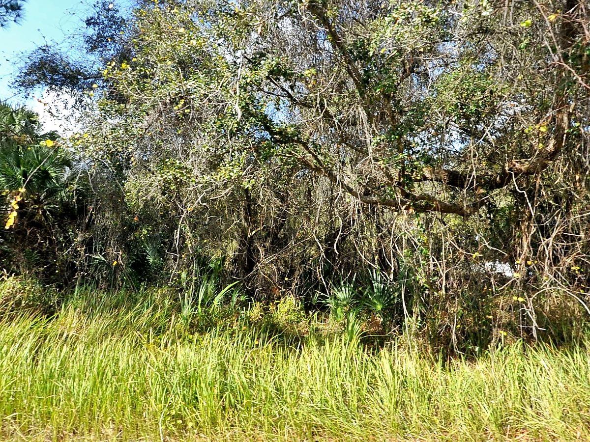 KACHER RD, NORTH PORT, FL, 34288