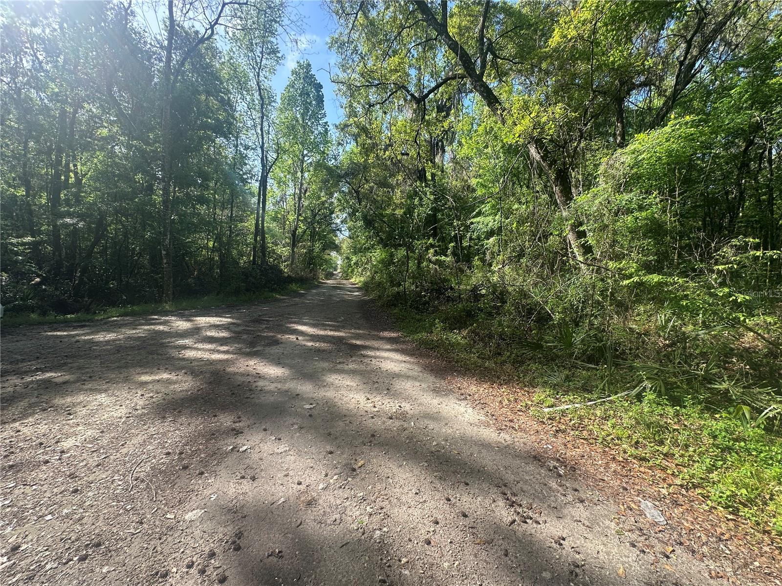 TBD SE 41ST TERRACE, BELLEVIEW, FL, 34420