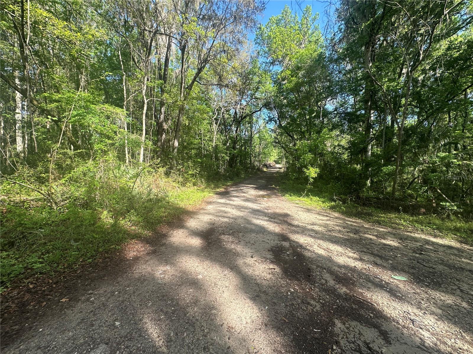 TBD SE 41ST TERRACE, BELLEVIEW, FL, 34420