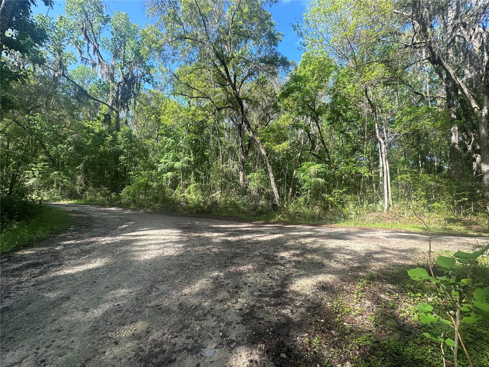 TBD SE 41ST TERRACE, BELLEVIEW, FL, 34420