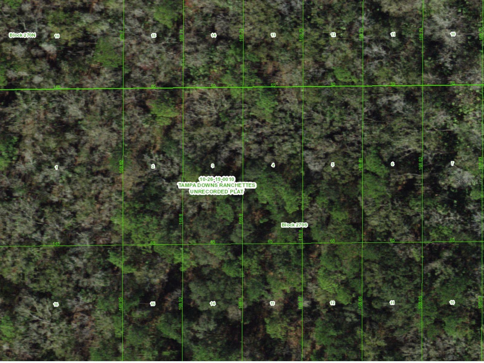 UNASSIGNED, WESLEY CHAPEL, FL, 33544