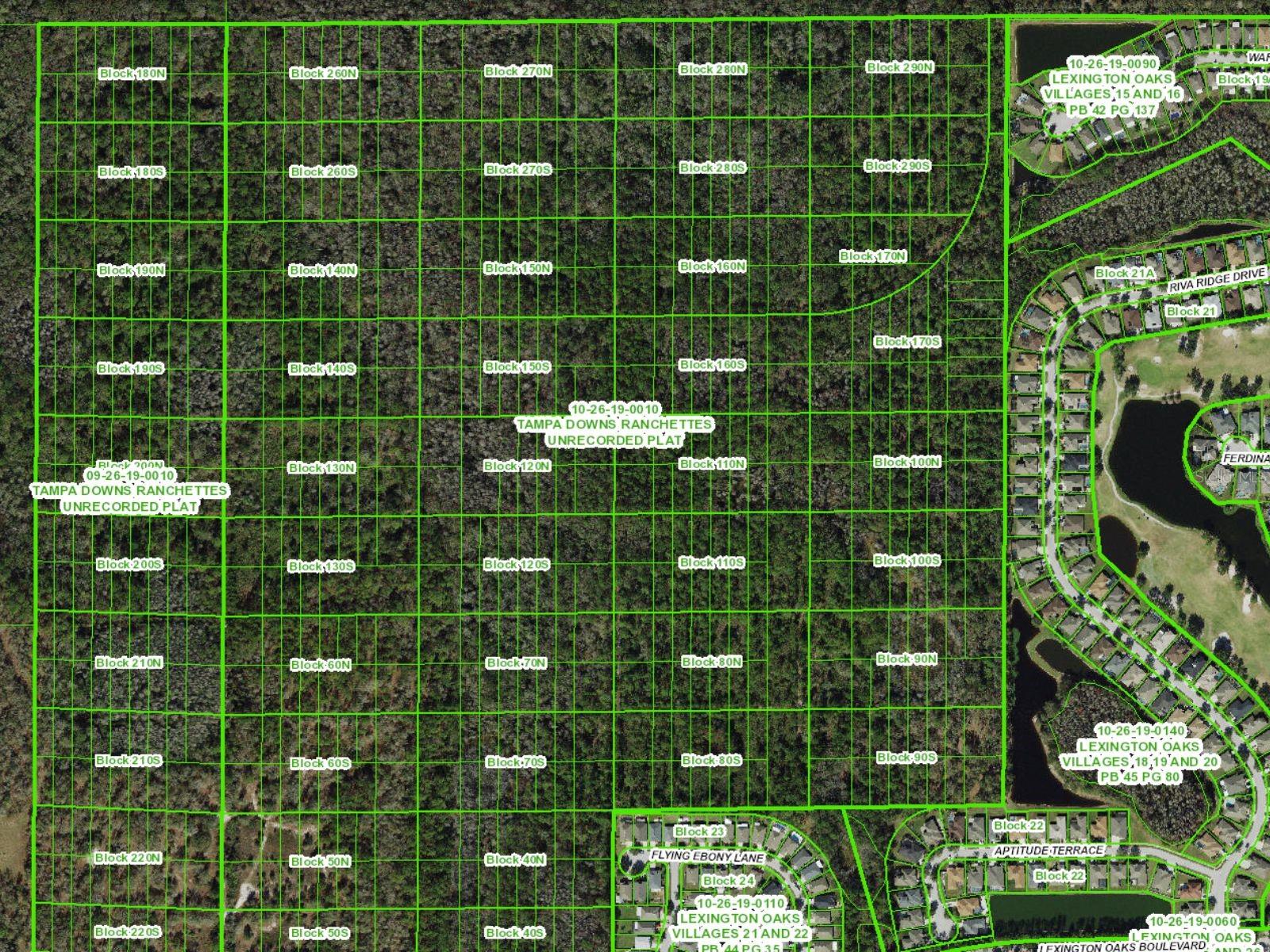 UNASSIGNED, WESLEY CHAPEL, FL, 33544