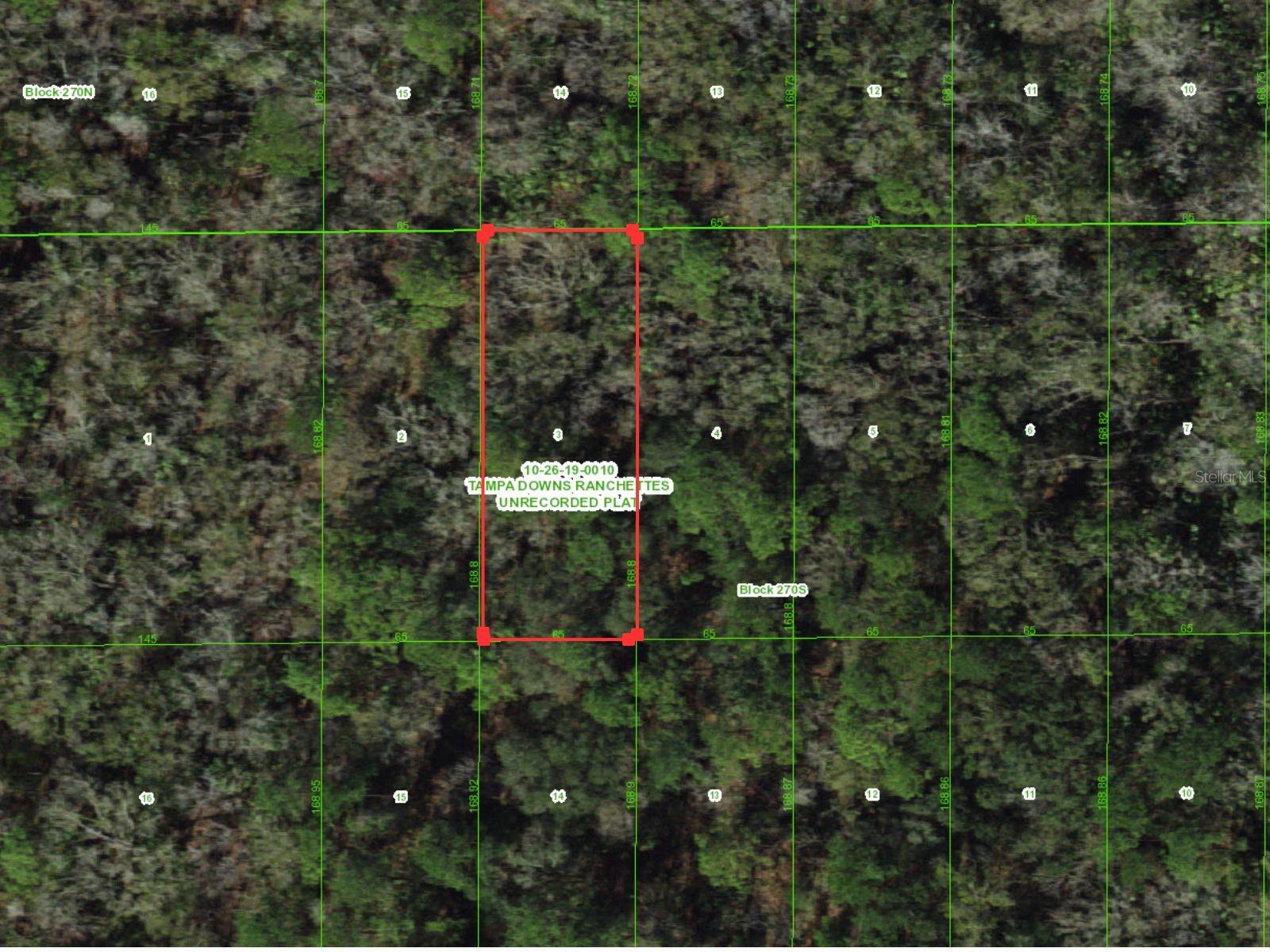 UNASSIGNED, WESLEY CHAPEL, FL, 33544