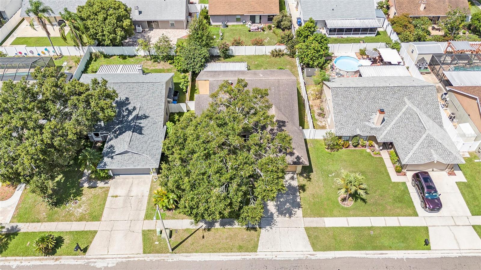 7112 HOLLOWELL DR, TAMPA, FL, 33634
