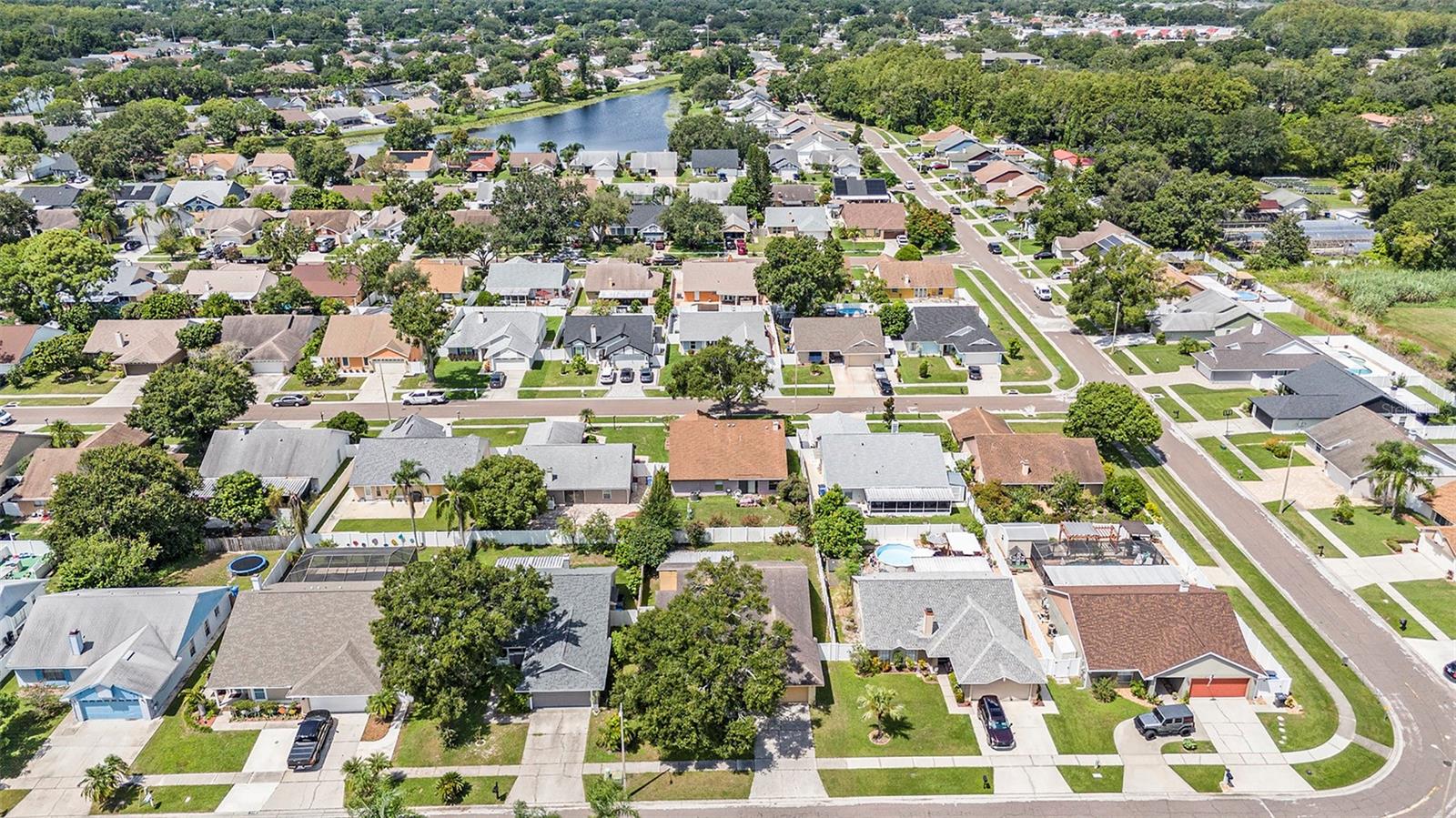 7112 HOLLOWELL DR, TAMPA, FL, 33634
