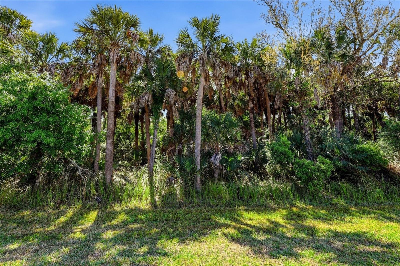 12031 LOVEGRASS ST, VENICE, FL, 34293