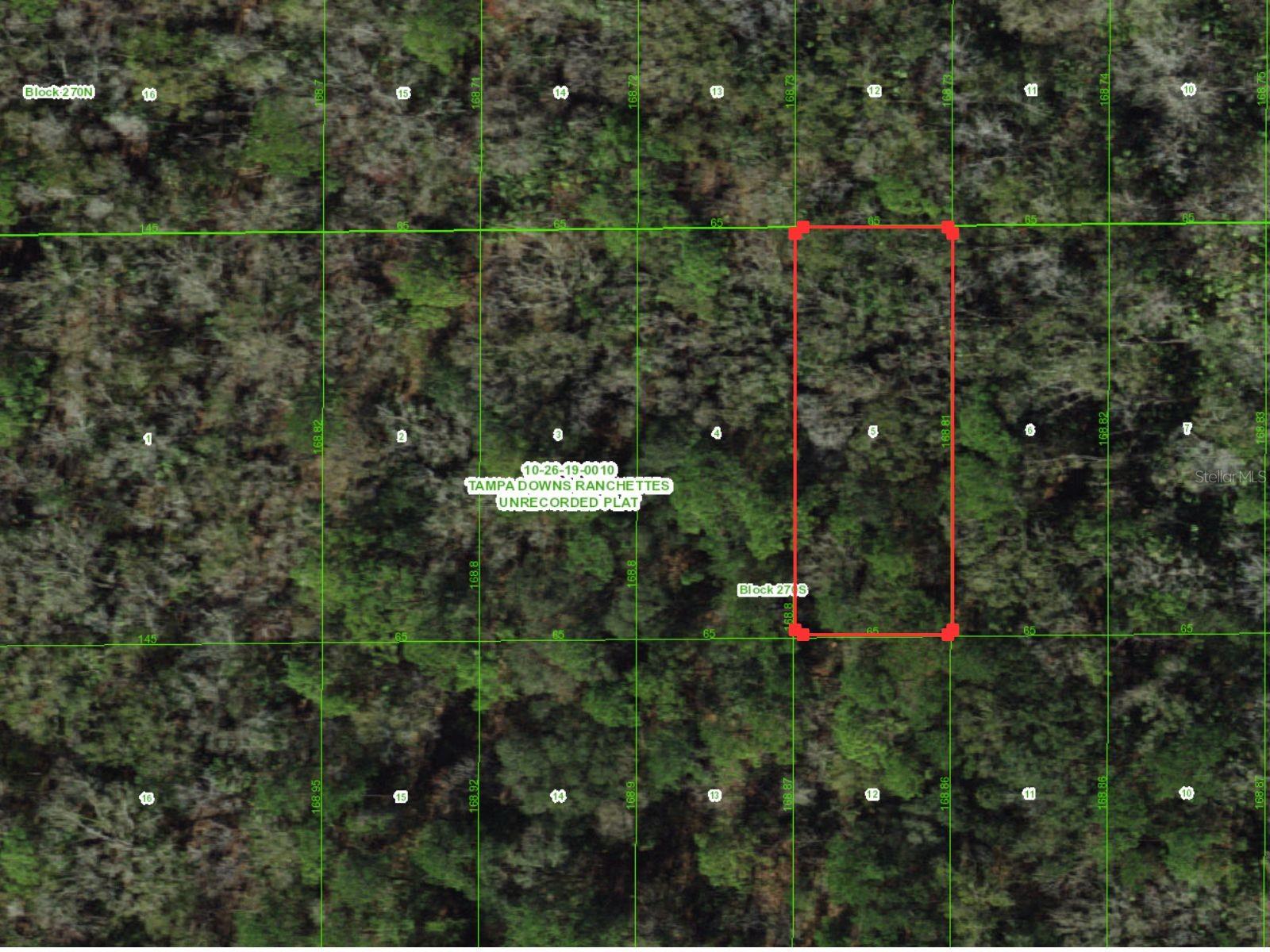 UNASSIGNED, WESLEY CHAPEL, FL, 33544