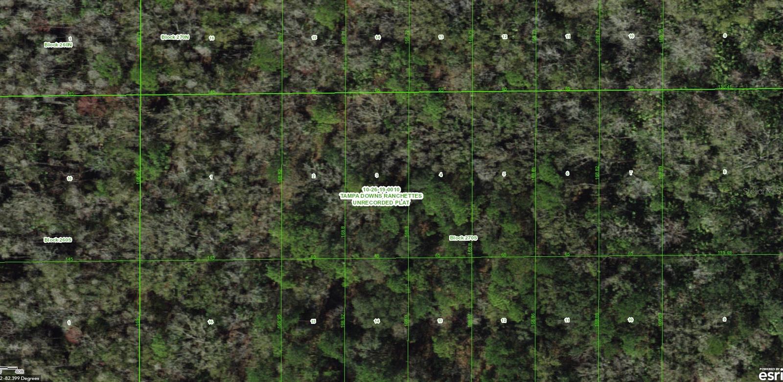 UNASSIGNED, WESLEY CHAPEL, FL, 33544