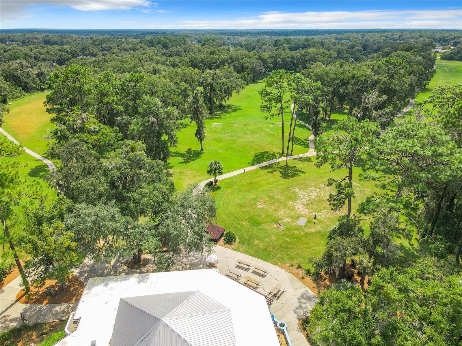 10043 SW 202ND CIR, DUNNELLON, FL, 34431
