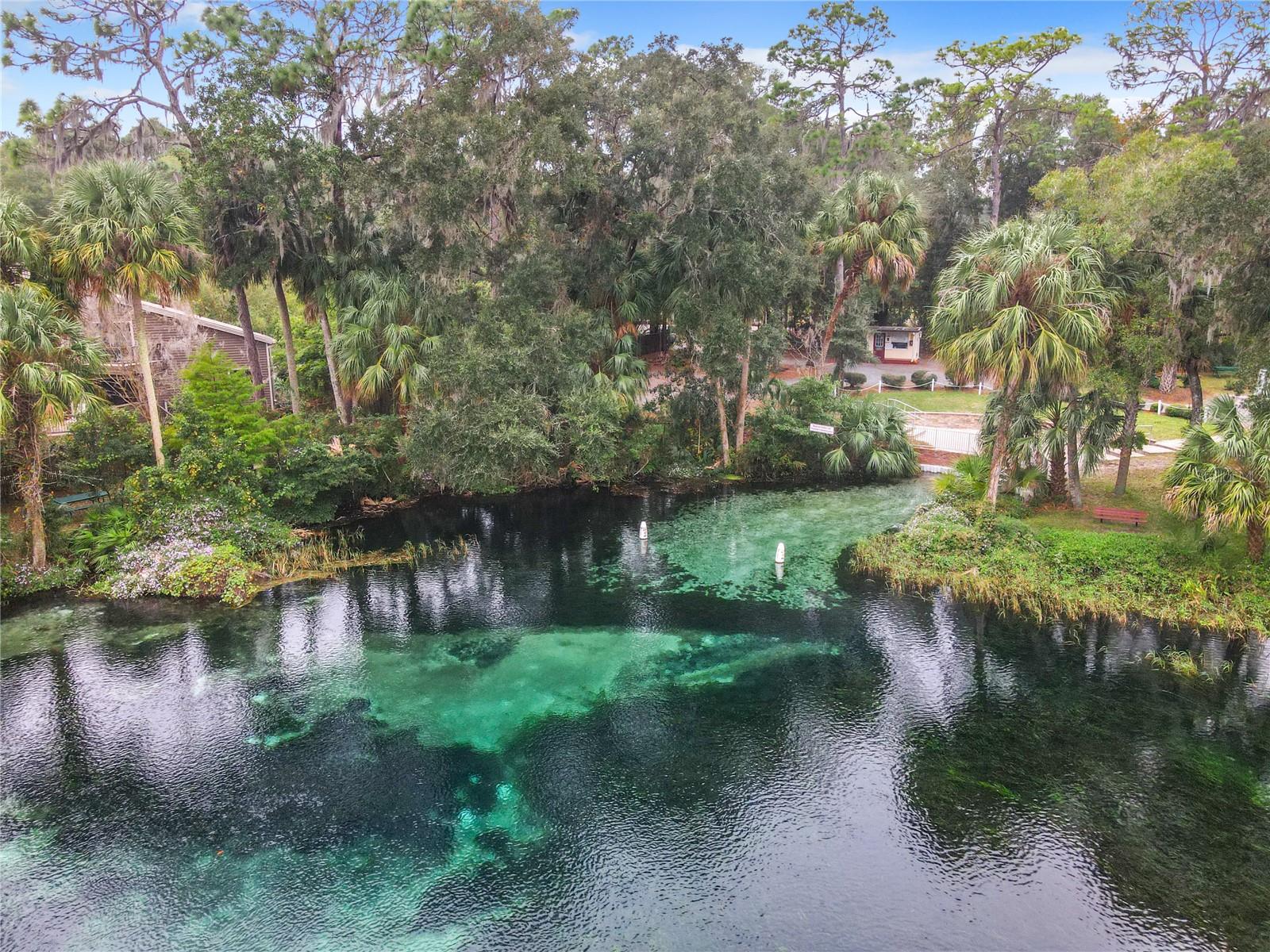 10043 SW 202ND CIR, DUNNELLON, FL, 34431