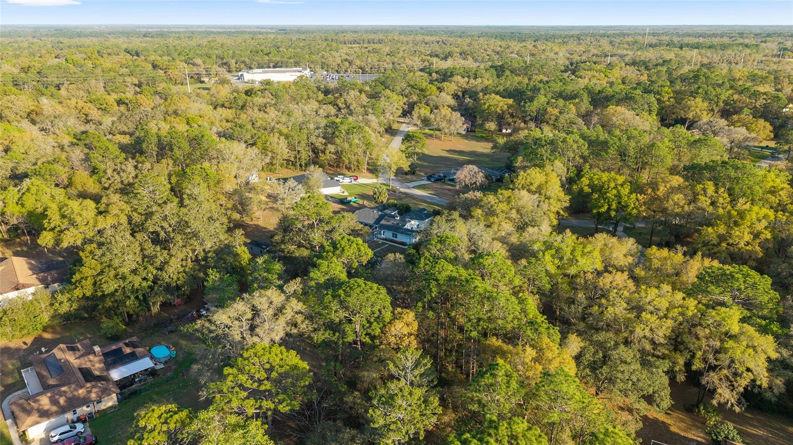 10043 SW 202ND CIR, DUNNELLON, FL, 34431