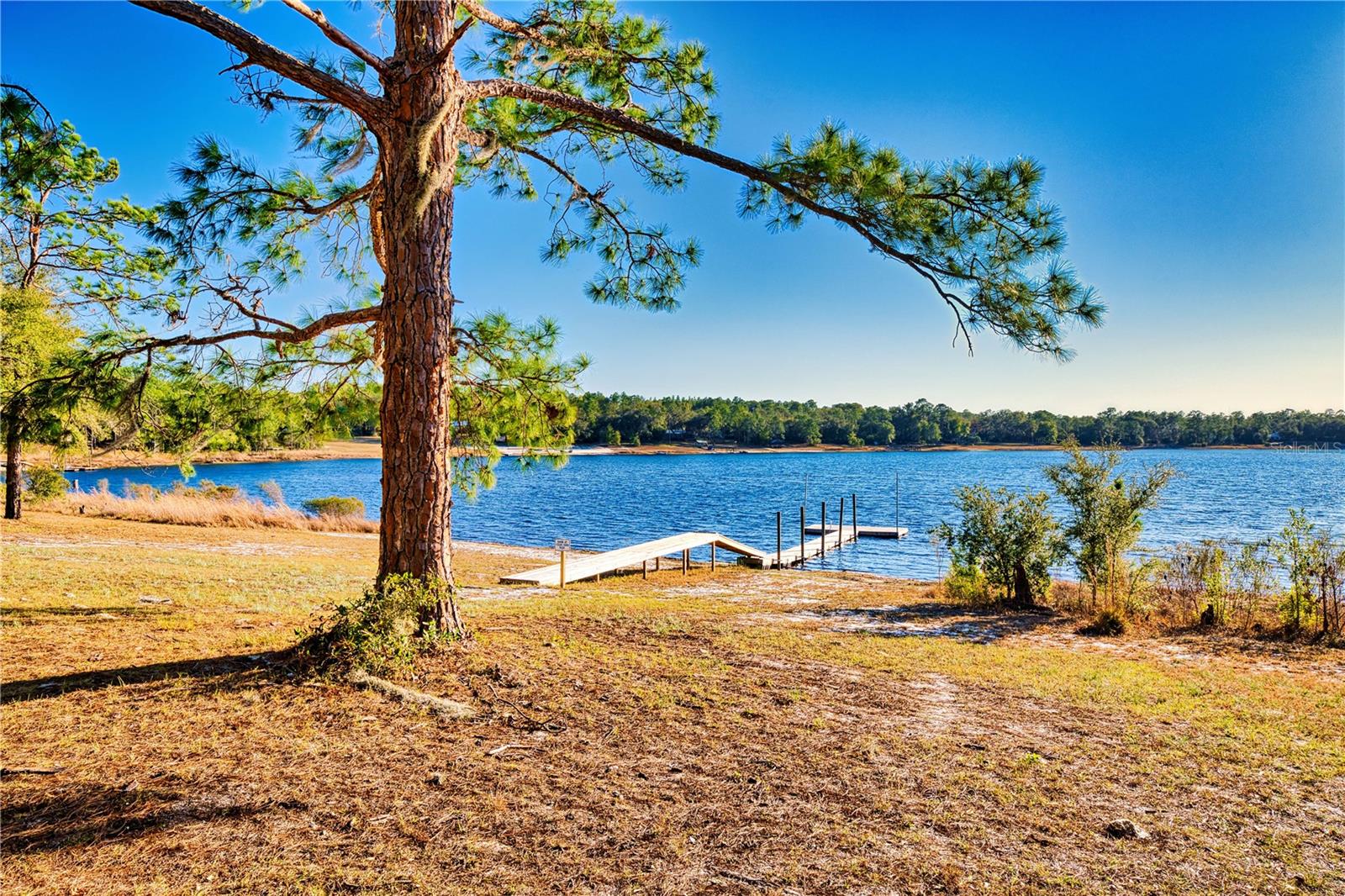 123 MASON LAKE TRL, HAWTHORNE, FL, 32640