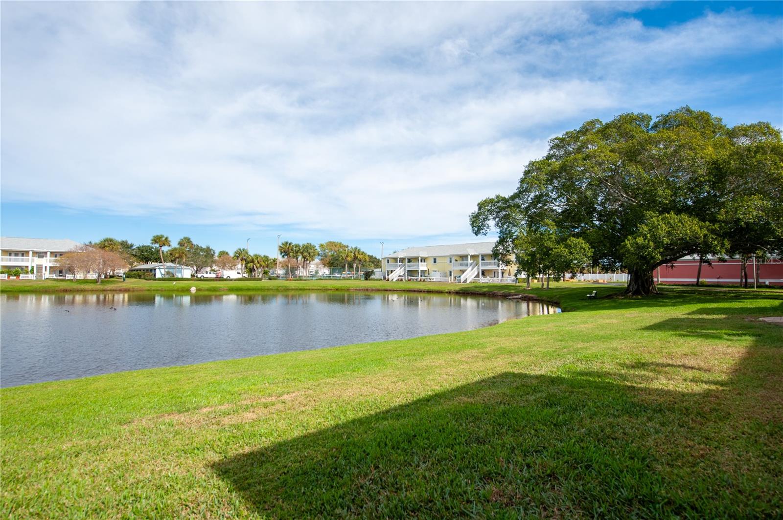 237 SEAHORSE DR SE #H, ST PETERSBURG, FL, 33705