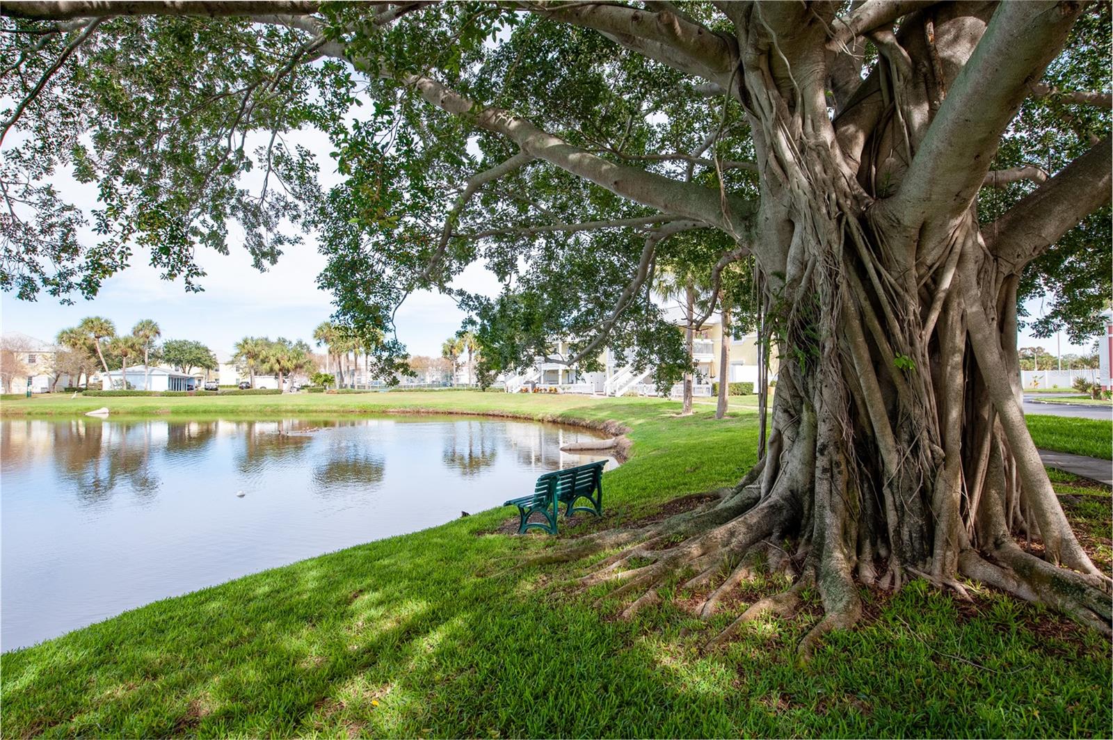 237 SEAHORSE DR SE #H, ST PETERSBURG, FL, 33705