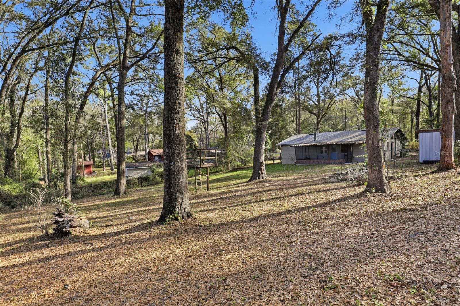 11908 NW 164TH TER, ALACHUA, FL, 32615
