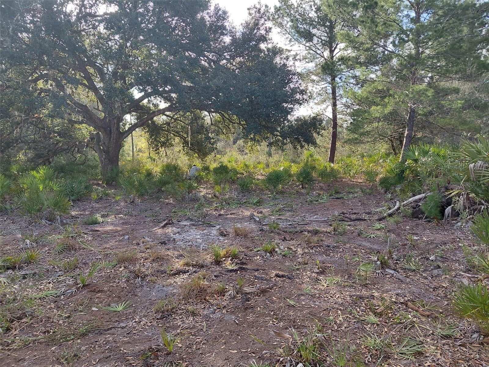 4311 GARDENIA DR, INDIAN LAKE ESTATES, FL, 33855