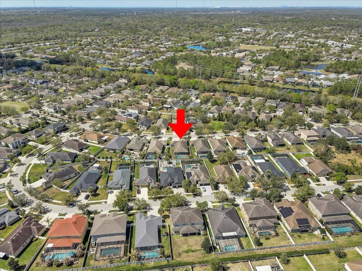 11118 FOSTER CARRIAGE RD, LITHIA, FL, 33547