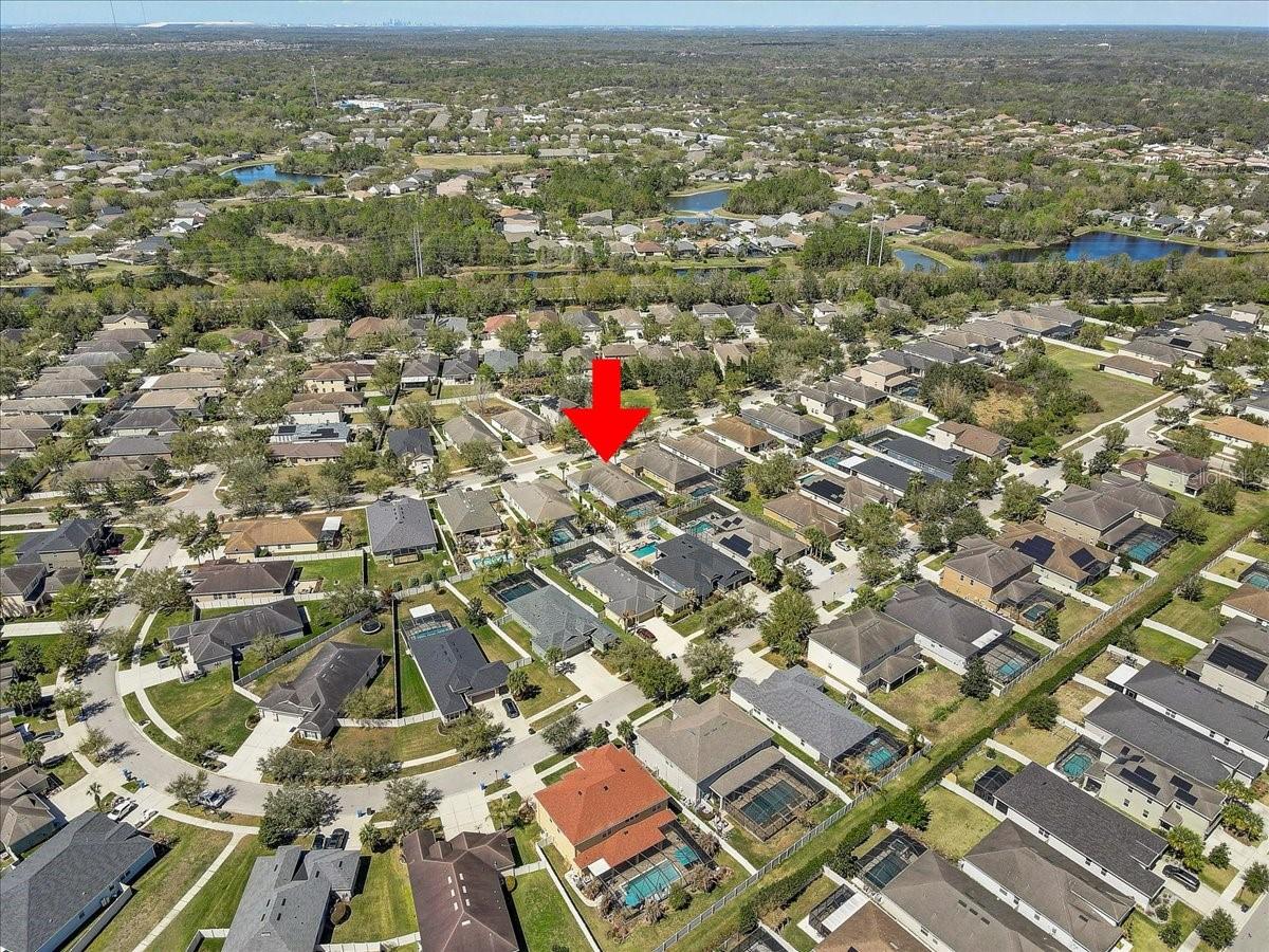 11118 FOSTER CARRIAGE RD, LITHIA, FL, 33547